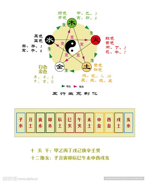 天干地支的五行|天干地支五行对照表图 阴阳五行